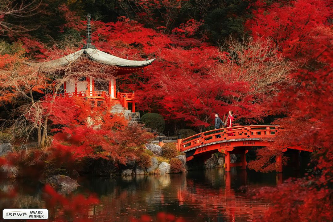 Liu Lei – ISPWP Photographer of the Quarter – Fall 2020